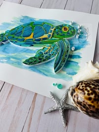 Image 4 of SHELLY THE TURTLE