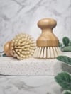 Dish Brush 