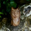 Saxon Yew Owl Amulet (DAM557)