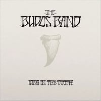 THE BUDOS BAND- LONG IN THE TOOTH LP