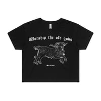 Image 1 of old gods crop (grey)