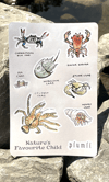 Nature's Favourite Sticker Sheet