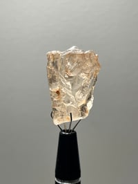 Image 7 of Scapolite Specimen #2487