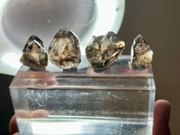 Image 3 of Mooralla Smoky Quartz Crystals | Mooralla Victoria Australia #2844