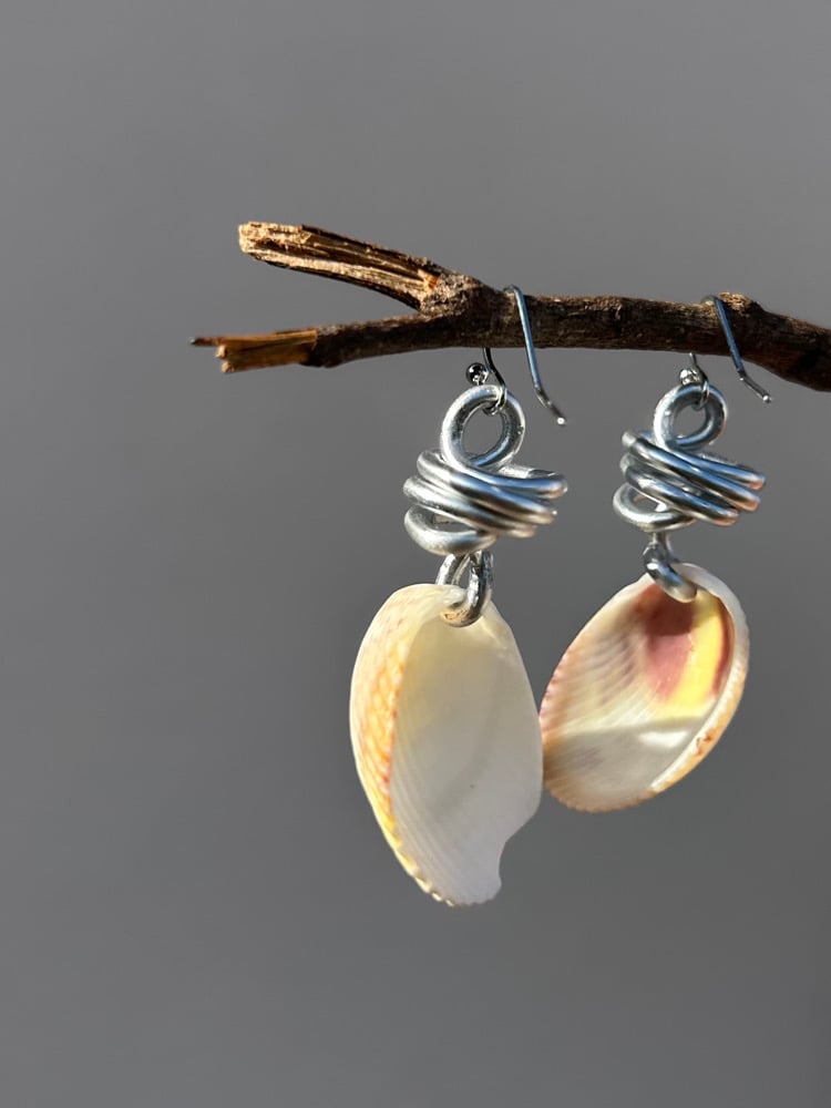 Image of ✧Sunset Shell Earrings