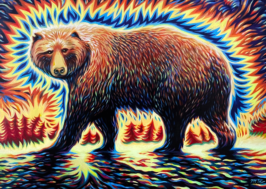 Image of Firebear 2