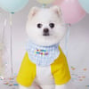 Sale - Birthday Dog Bandana