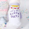 Sale - It’s My Birthday Dog Hoodie