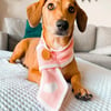 Sale - Valentines Pet Scarf