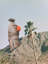 Image 5 of 'King Of The Hill'