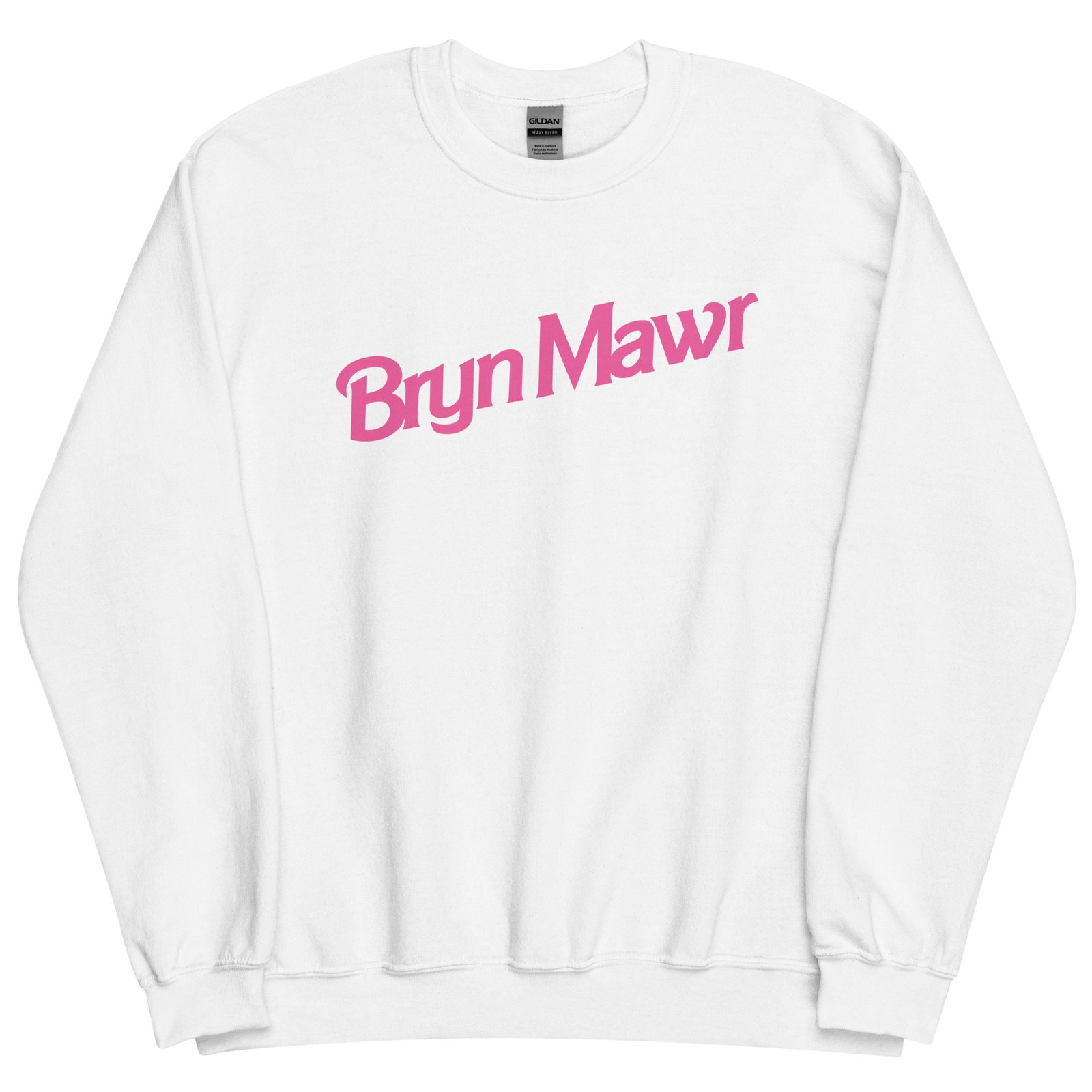 Small Supply x Silly Fun Bryn Mawr Sweatshirt Small Supply