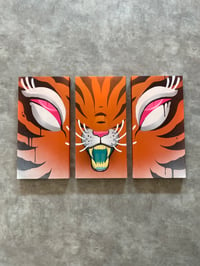 Tiger division