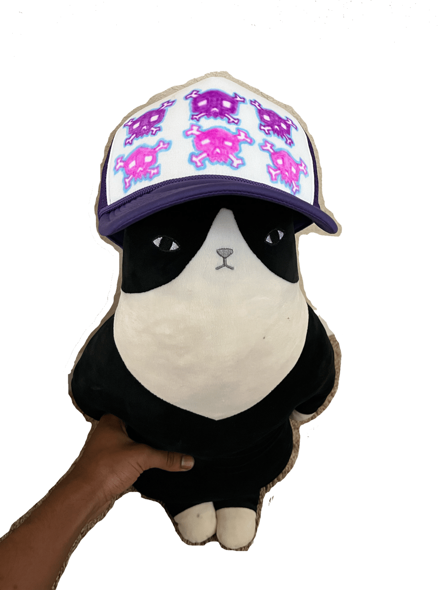 Image of A Fools Hat #1