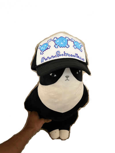 Image of A Fools Hat #2