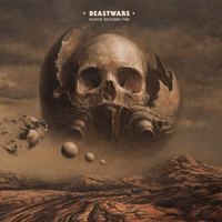 Blood Becomes Fire Vinyl