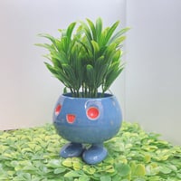 Image 2 of grass type small planter