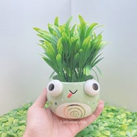 Image 1 of silly frog small planter