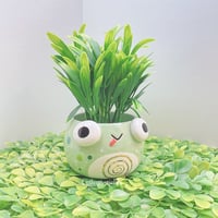 Image 2 of silly frog small planter