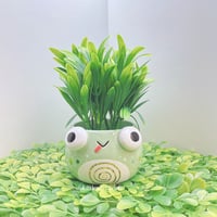 Image 3 of silly frog small planter