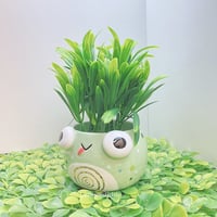 Image 4 of silly frog small planter