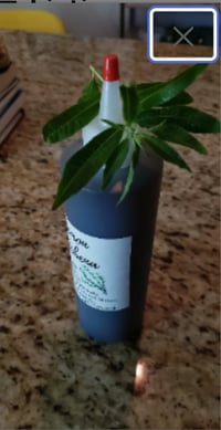 Image 5 of Lemon Verbena Simple Syrup 