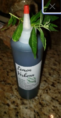 Image 4 of Lemon Verbena Simple Syrup 