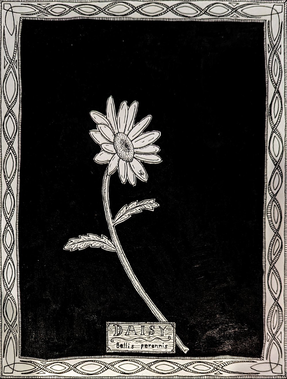 'Daisy' - Original Artwork 