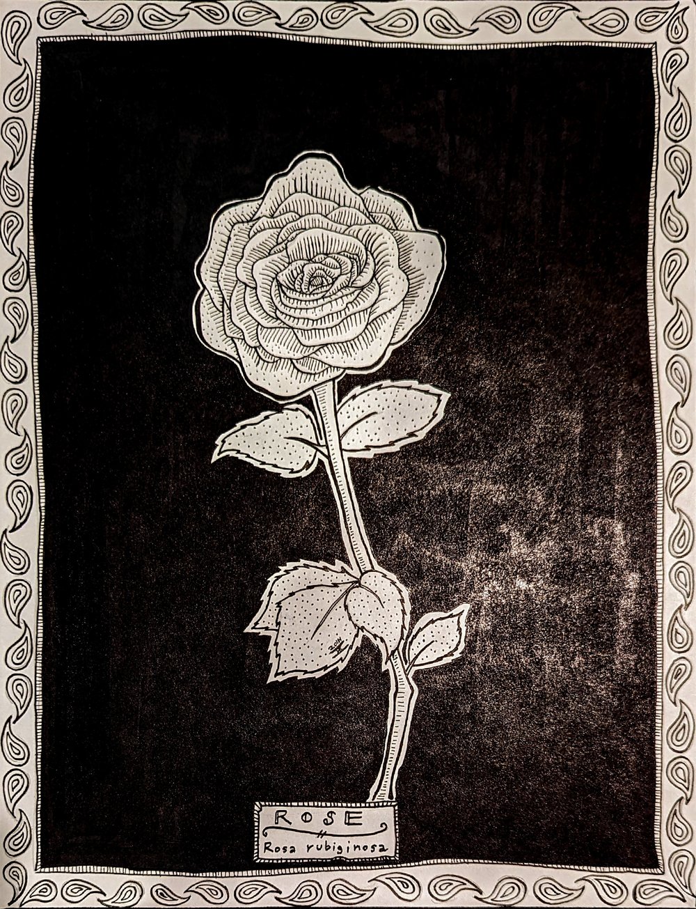'Rose' - Original Artwork