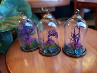 Image 3 of Lakeland Diorama Charm