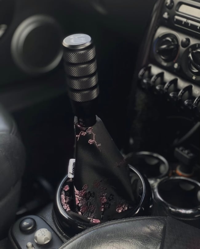 Black & pink cherry blossom