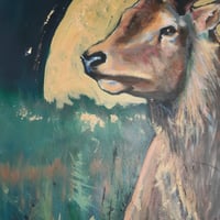 Image 2 of The Midnight Stag 