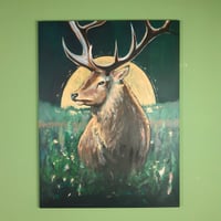 Image 1 of The Midnight Stag 