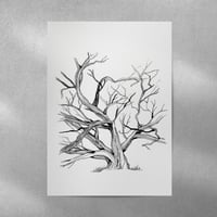 Image 1 of ‘Gnarly Trees’ Illustration