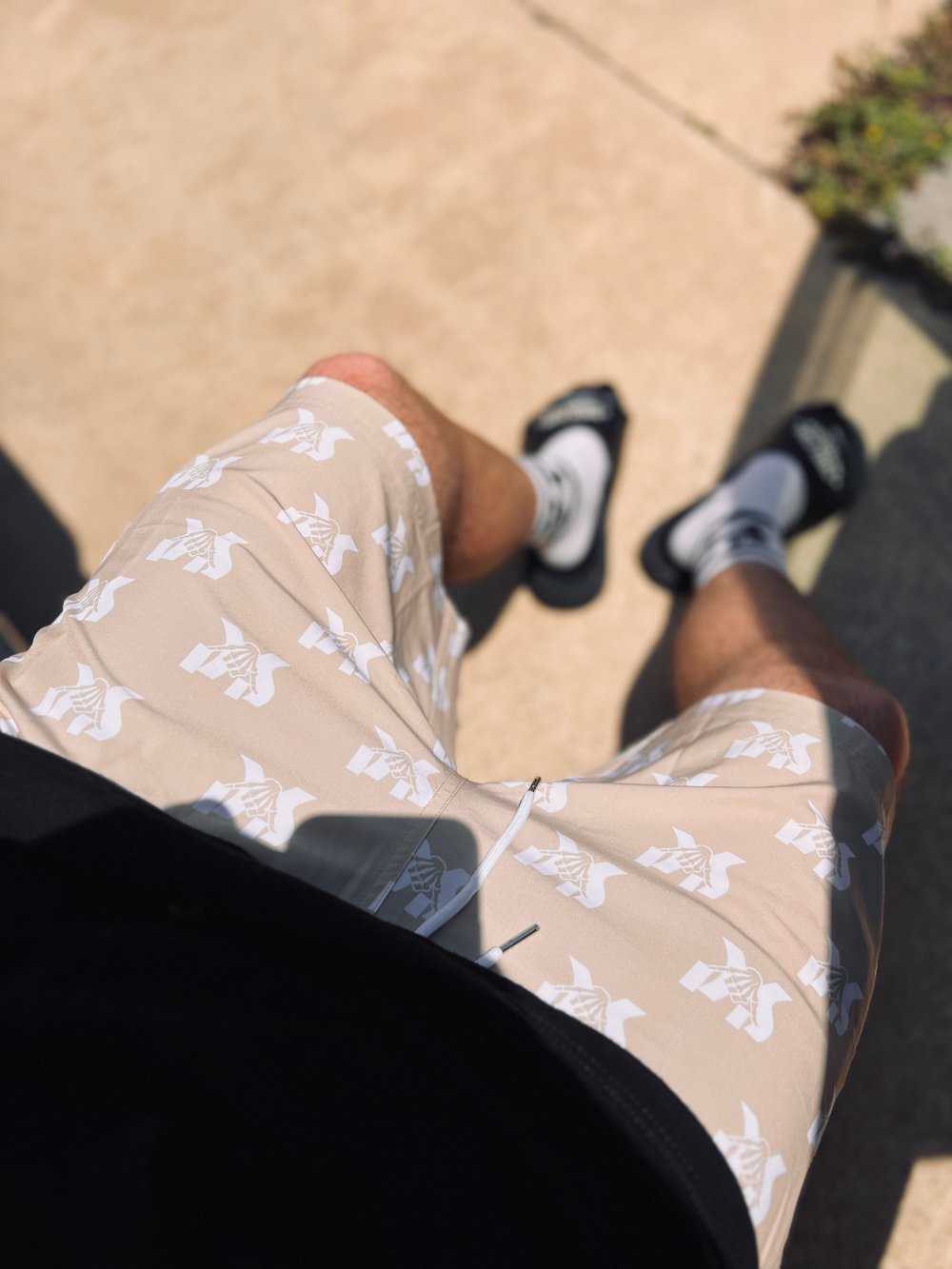 SC Everyday Shorts