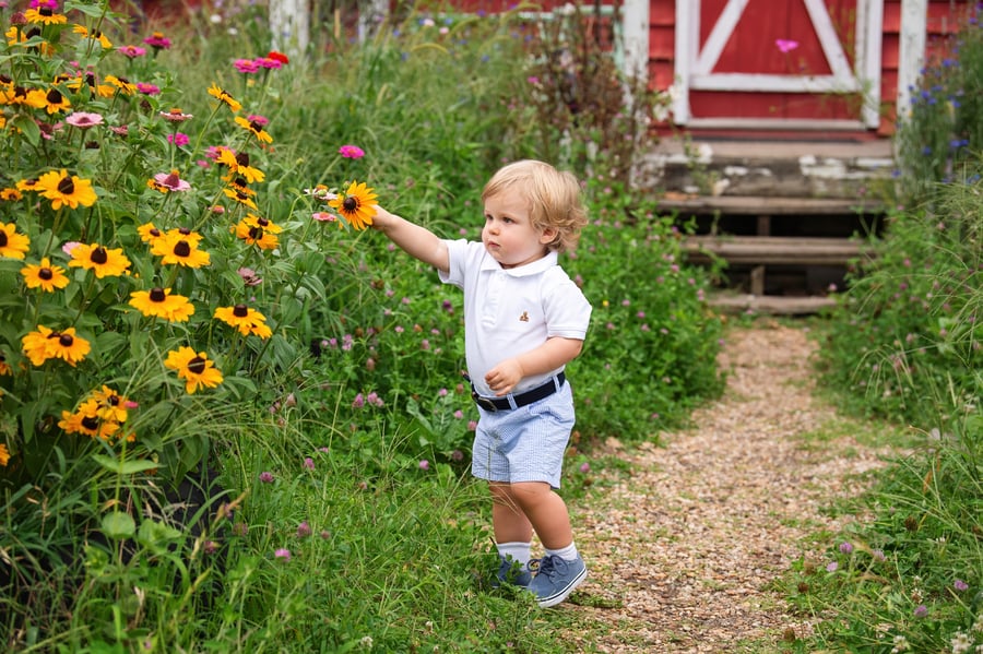 Image of Art Barn Flowering Garden Sessions - July 21st golden hour