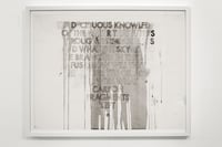 ROBERT MONTGOMERY ‘The Deciduous Knowledge’, 2015