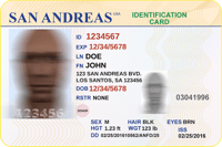 Fake USA ID
