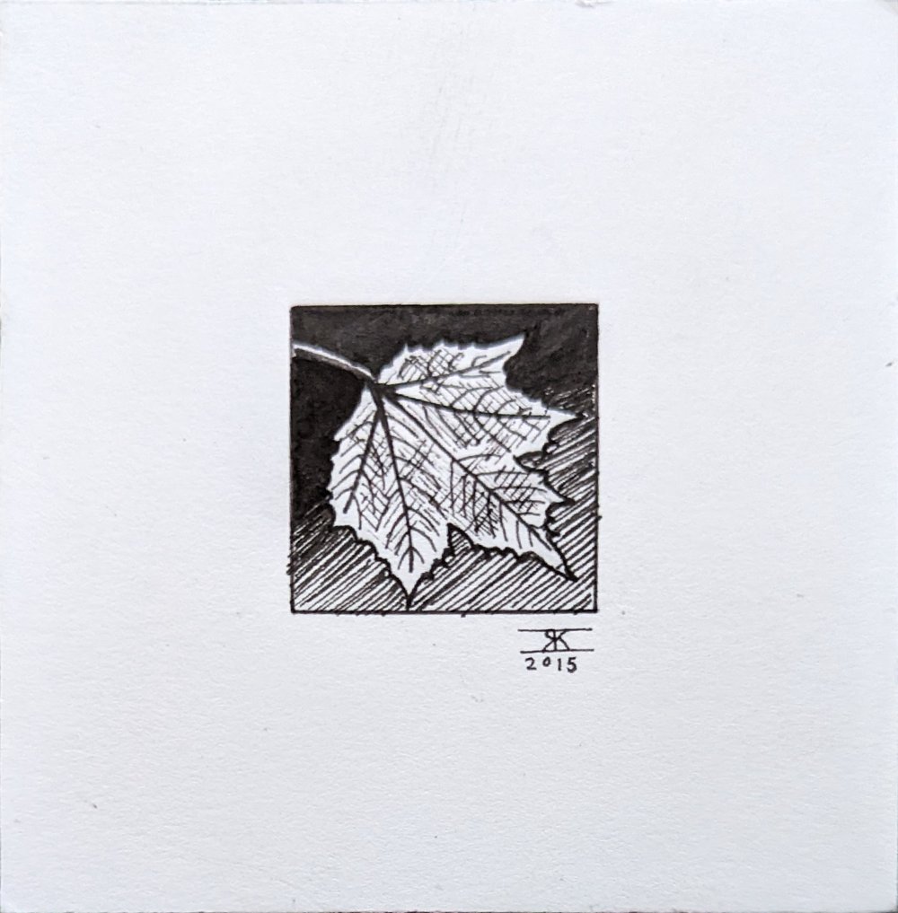 'Leaf' - Original Drawing 