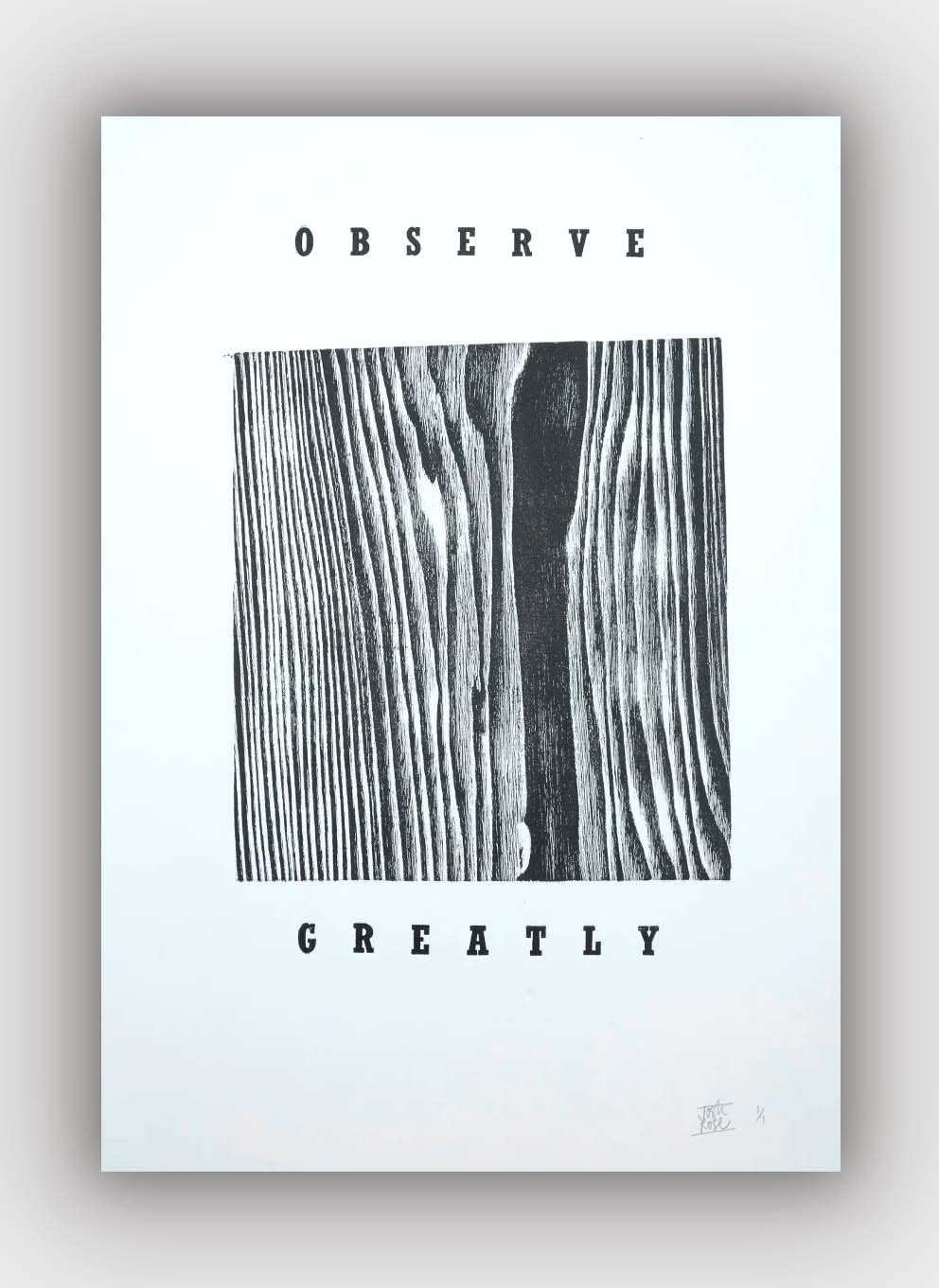 Image of OBSERVE GREATLY - 2