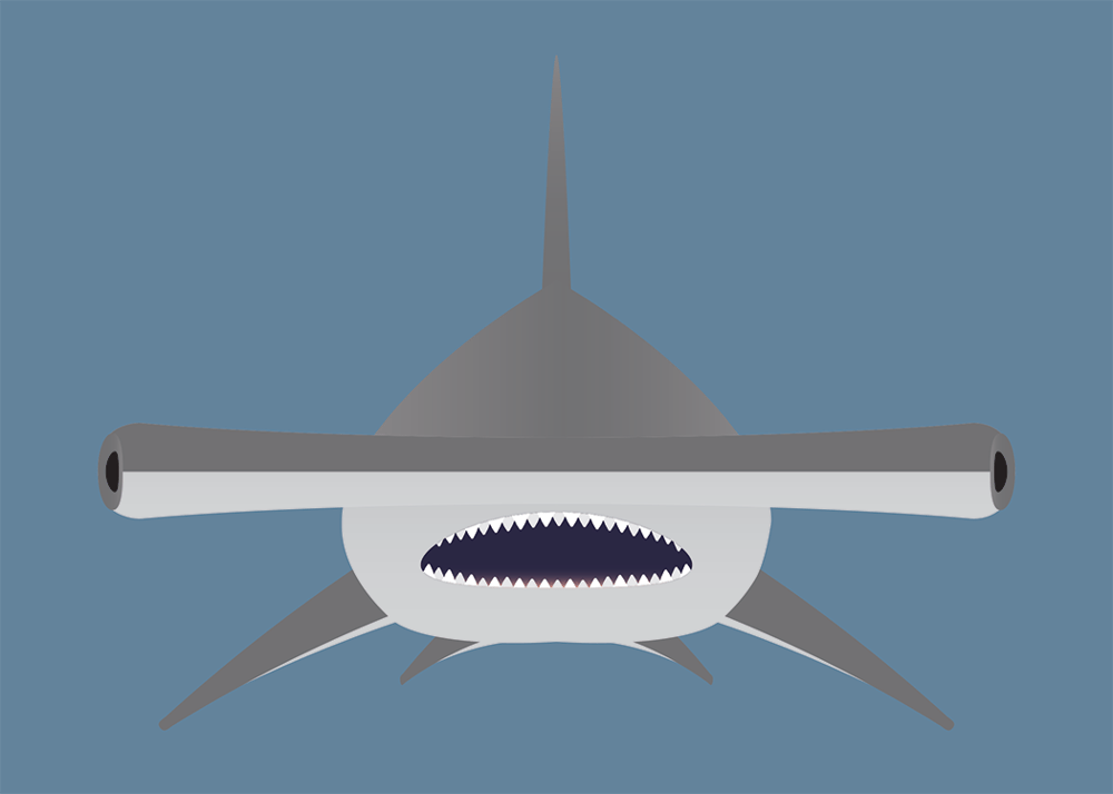 Shark Collection