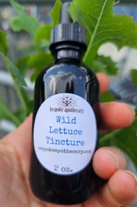 Image of 2 oz. Wild Lettuce Tincture ~ for pain and inflammation relief 