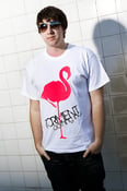 Image of Flamingo