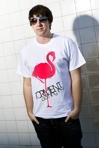Image of Flamingo