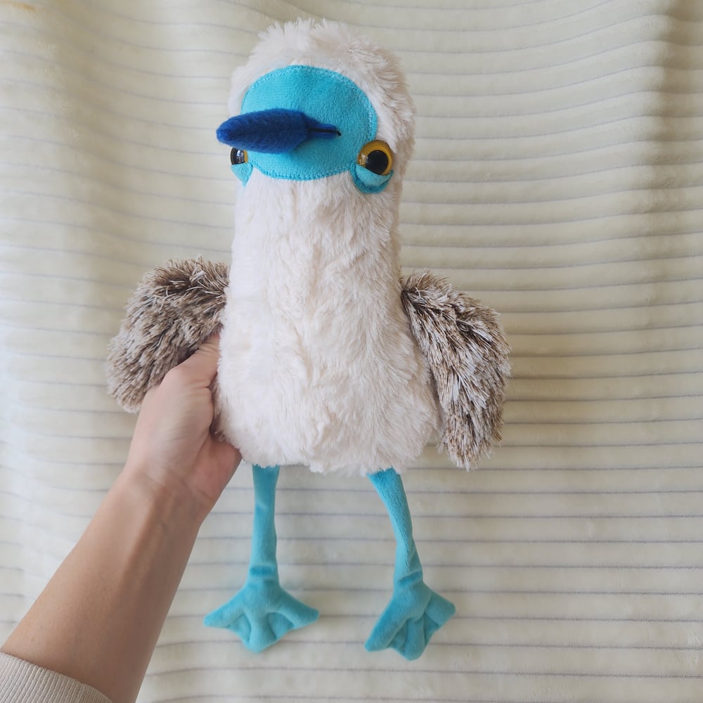 Image of Blue footed booby