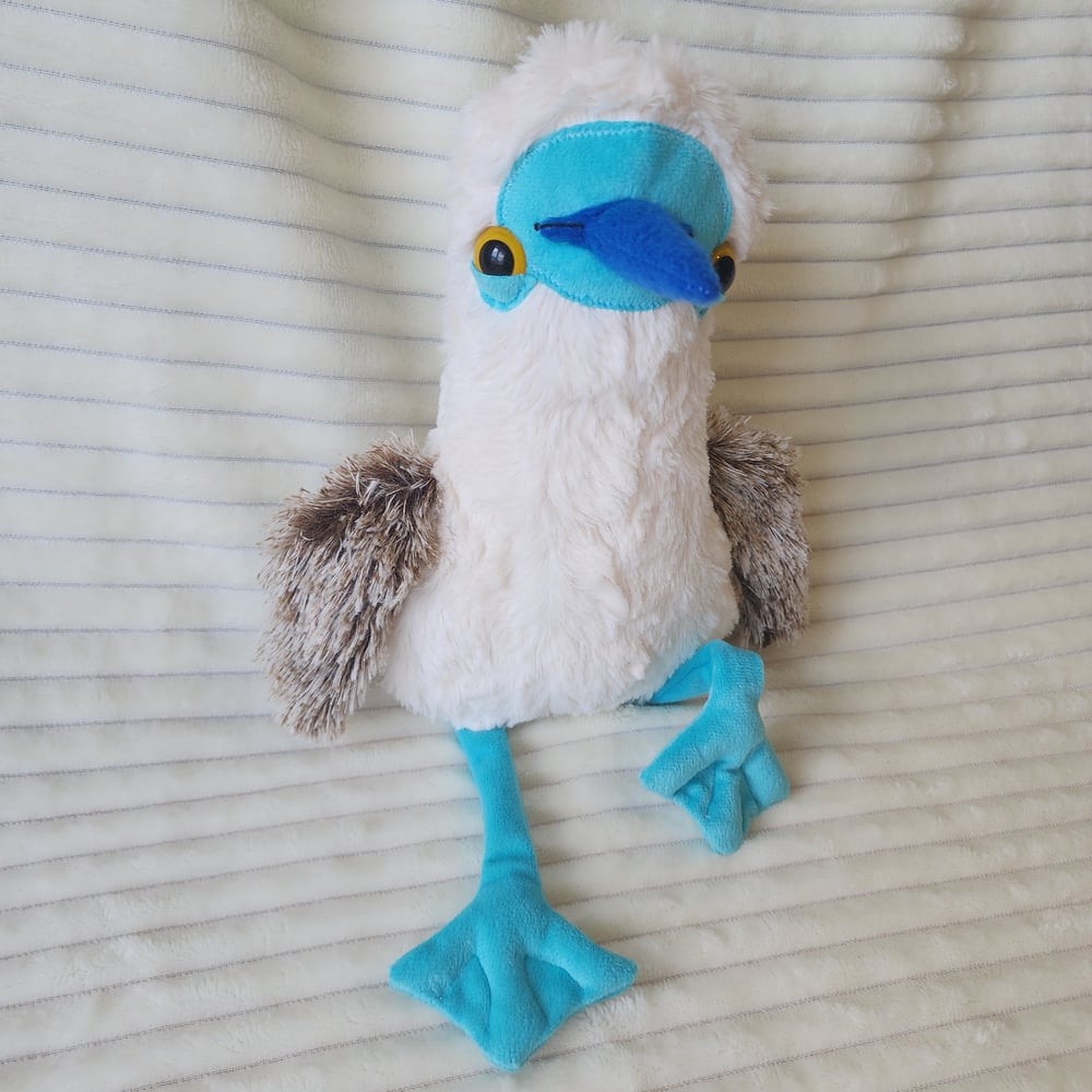 Image of Blue footed booby