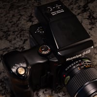Image 4 of Dome Shutter Button