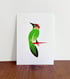 Woodpecker Image 2