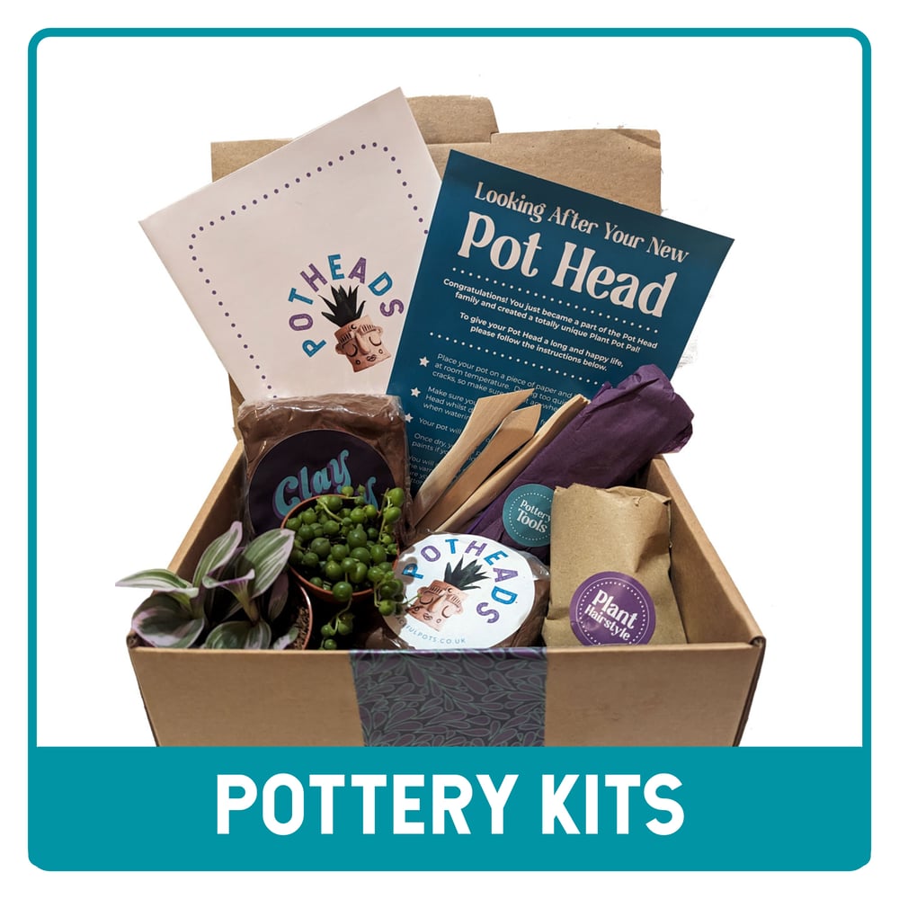 Image of Make A Pot Head At Home - Complete Pottery Kit With Plants & Video Workshop