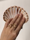 "ELEMENTS" Ring,  Set of 2, adjustable  ring. (Silver or Gold) 