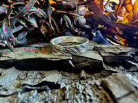 Image 1 of Shoal Ring